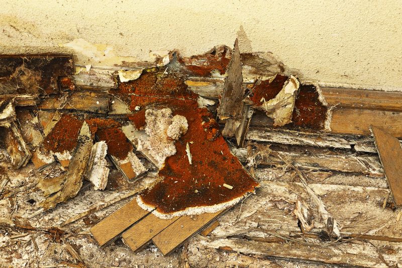 Wood Rot Repair For Decks, Porches, And Ramps
